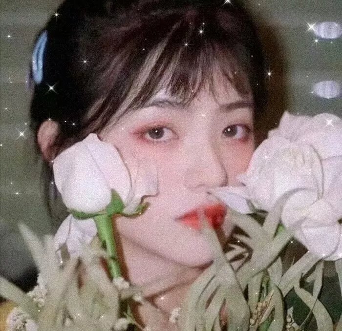 东瀛禁宫秘史